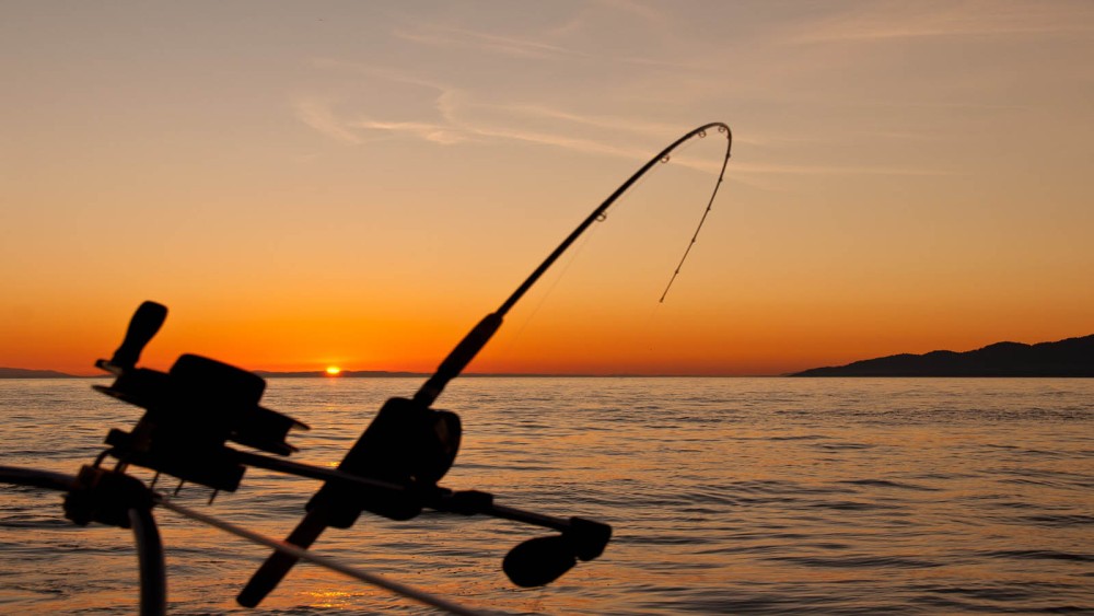 Fishing Equipment: What You Need Before Casting the Line - Eye On